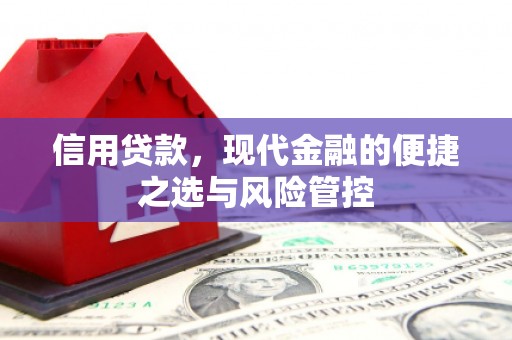 永康信用贷款，现代金融的便捷之选与风险管控