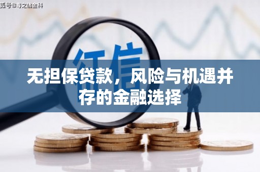 永康无担保贷款，风险与机遇并存的金融选择