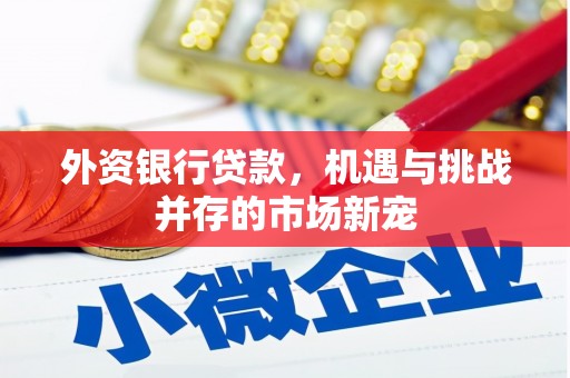 永康外资银行贷款，机遇与挑战并存的市场新宠