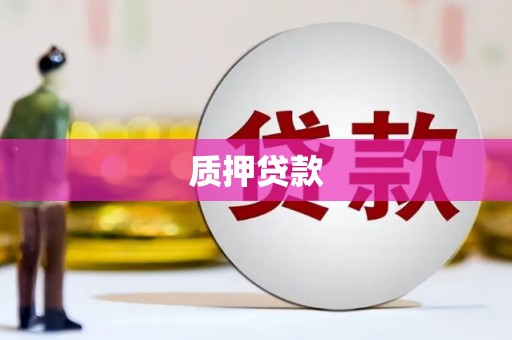 永康质押贷款