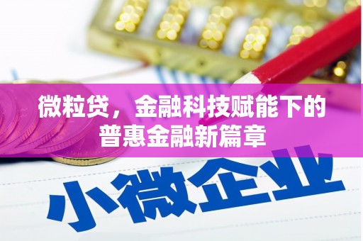 永康微粒贷，金融科技赋能下的普惠金融新篇章