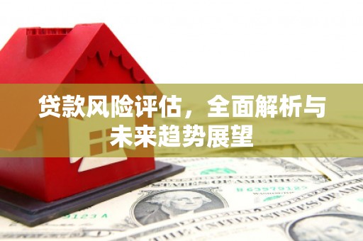永康贷款风险评估，全面解析与未来趋势展望