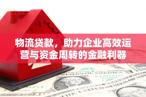 永康物流贷款，助力企业高效运营与资金周转的金融利器