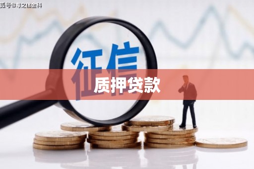 永康质押贷款