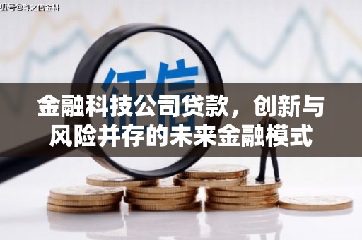 永康金融科技公司贷款，创新与风险并存的未来金融模式