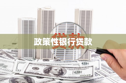 永康政策性银行贷款
