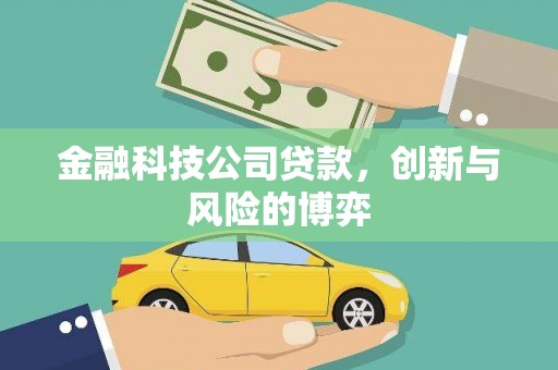 永康金融科技公司贷款，创新与风险的博弈