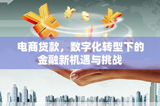 永康电商贷款，数字化转型下的金融新机遇与挑战