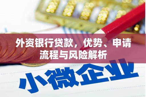永康外资银行贷款，优势、申请流程与风险解析