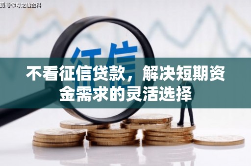 永康不看征信贷款，解决短期资金需求的灵活选择