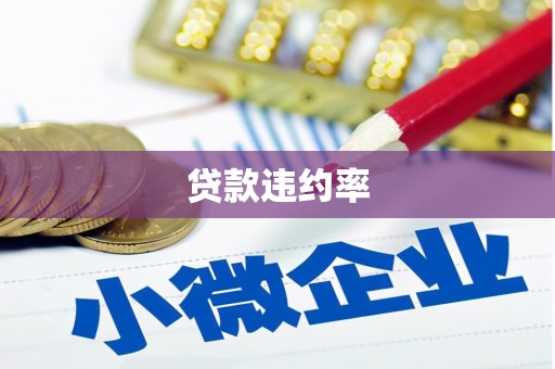 永康贷款违约率