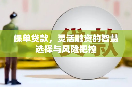 永康保单贷款，灵活融资的智慧选择与风险把控