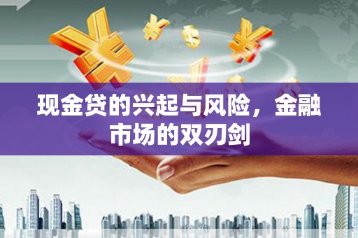 永康现金贷的兴起与风险，金融市场的双刃剑