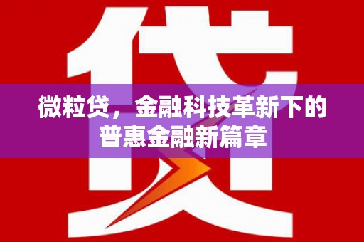 永康微粒贷，金融科技革新下的普惠金融新篇章