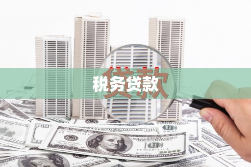 永康税务贷款