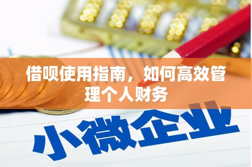 永康借呗使用指南，如何高效管理个人财务
