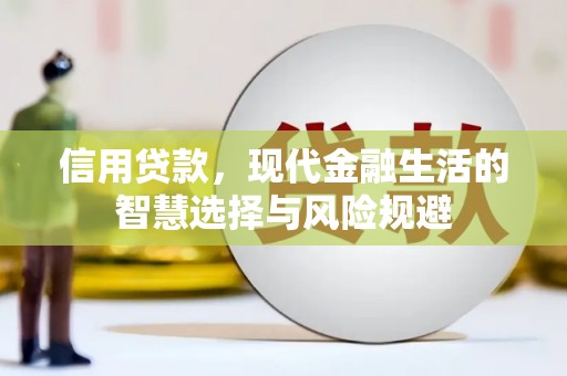 永康信用贷款，现代金融生活的智慧选择与风险规避