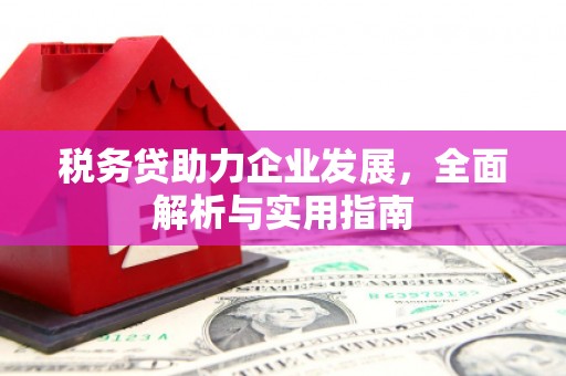 永康税务贷助力企业发展，全面解析与实用指南