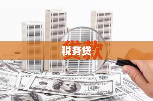 永康税务贷
