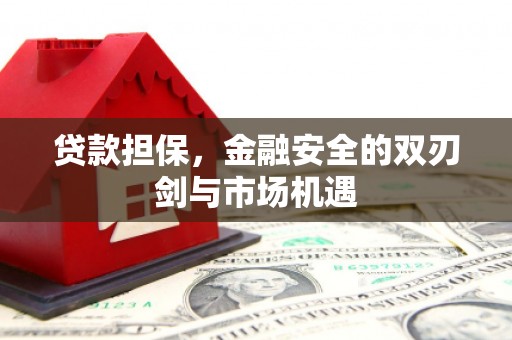 永康贷款担保，金融安全的双刃剑与市场机遇