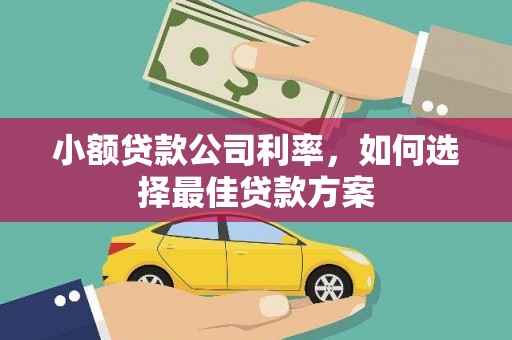永康小额贷款公司利率，如何选择最佳贷款方案