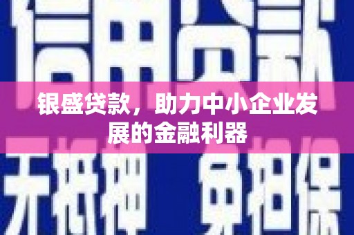永康银盛贷款，助力中小企业发展的金融利器