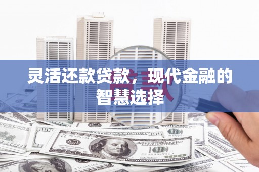 永康灵活还款贷款，现代金融的智慧选择