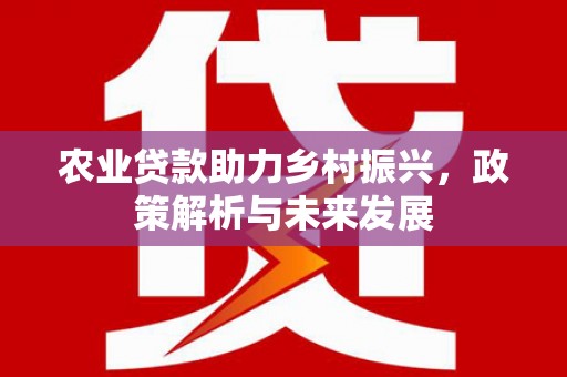 永康农业贷款助力乡村振兴，政策解析与未来发展