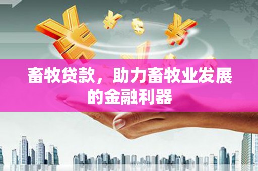永康畜牧贷款，助力畜牧业发展的金融利器
