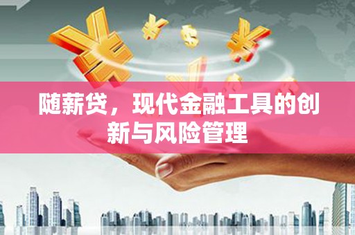 永康随薪贷，现代金融工具的创新与风险管理