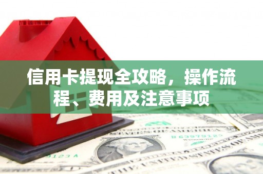 永康信用卡提现全攻略，操作流程、费用及注意事项