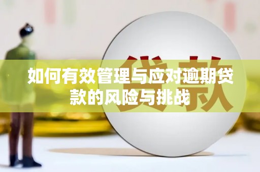 永康如何有效管理与应对逾期贷款的风险与挑战