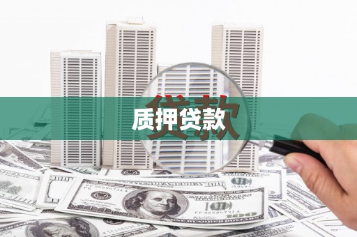 永康质押贷款