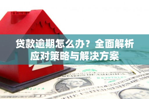 永康贷款逾期怎么办？全面解析应对策略与解决方案