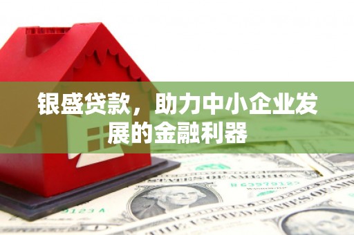 永康银盛贷款，助力中小企业发展的金融利器