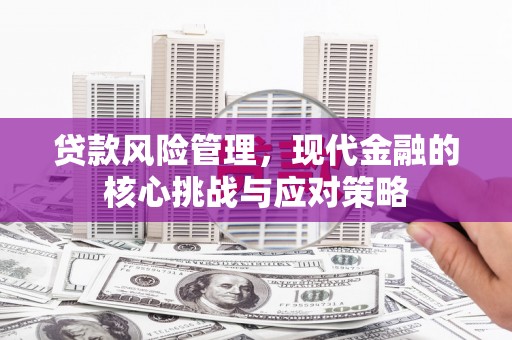 永康贷款风险管理，现代金融的核心挑战与应对策略