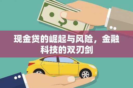 永康现金贷的崛起与风险，金融科技的双刃剑