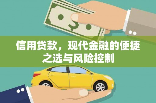 永康信用贷款，现代金融的便捷之选与风险控制