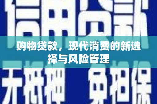 永康购物贷款，现代消费的新选择与风险管理