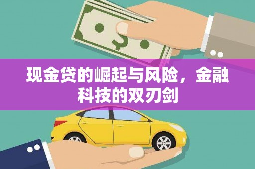 永康现金贷的崛起与风险，金融科技的双刃剑