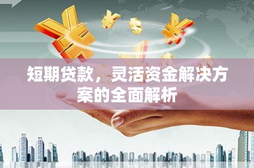 永康短期贷款，灵活资金解决方案的全面解析