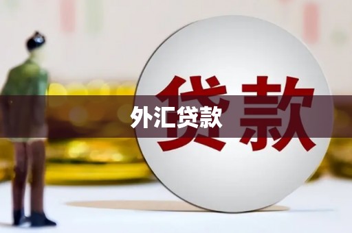 永康外汇贷款
