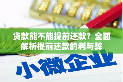 永康贷款能不能提前还款？全面解析提前还款的利与弊