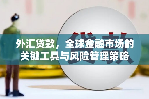 永康外汇贷款，全球金融市场的关键工具与风险管理策略