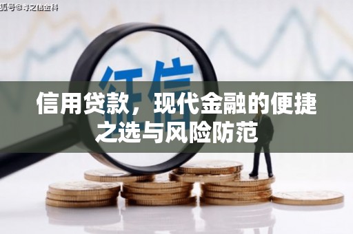 永康信用贷款，现代金融的便捷之选与风险防范