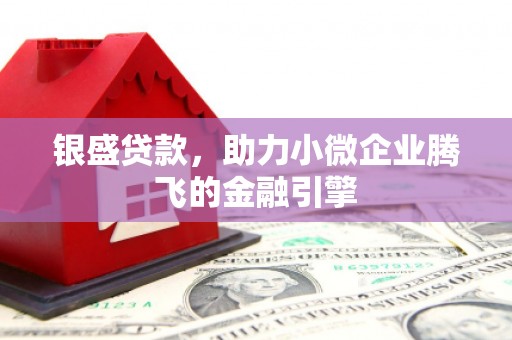 永康银盛贷款，助力小微企业腾飞的金融引擎