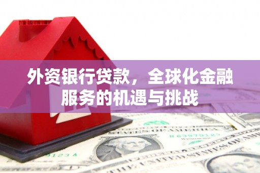 永康外资银行贷款，全球化金融服务的机遇与挑战
