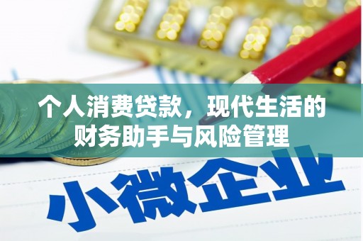 永康个人消费贷款，现代生活的财务助手与风险管理