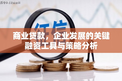 永康商业贷款，企业发展的关键融资工具与策略分析
