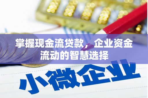 永康掌握现金流贷款，企业资金流动的智慧选择